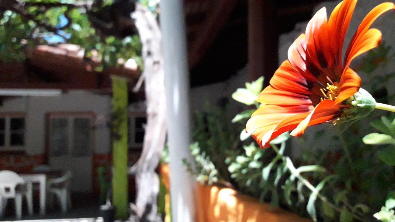 Hospedaje Don Alberto Hotel Potrerillos Kültér fotó